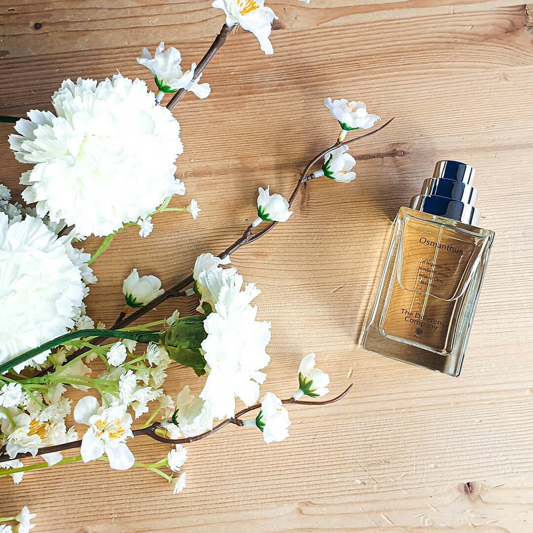 Osmanthus different company online