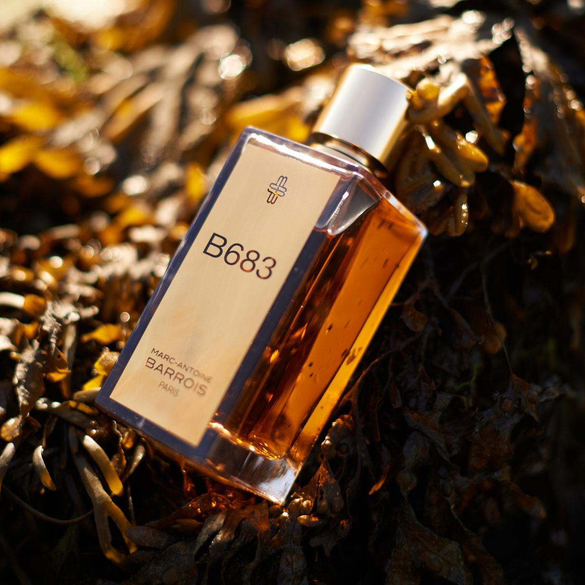 Marc-Antoine Barrois - B683 Eau de Parfum • Perfume Lounge