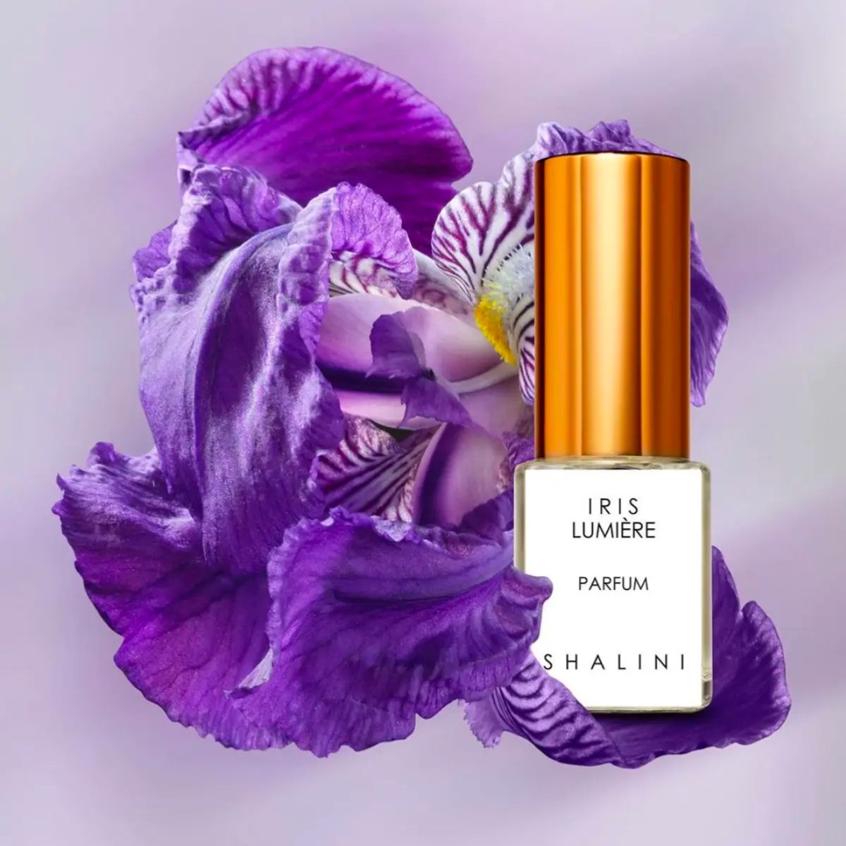 Lumiere Parfum 限定版 Airi Naruse 限定品 成瀬愛里 香水 Lumiere Parfum - メルカリ