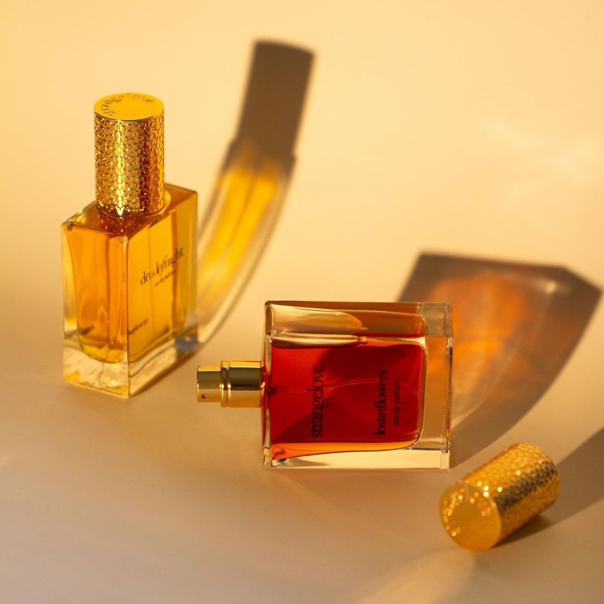 Lost in hotsell flowers perfume