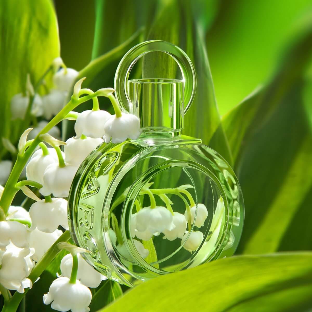 Lily of The Valley Fragrance Note 1/4 oz